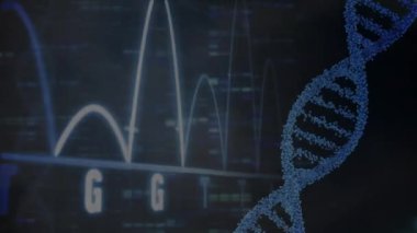Veri işleme üzerindeki DNA iplikçiklerinin animasyonu. küresel iş ve dijital arayüz kavramı dijital olarak oluşturulmuş video.