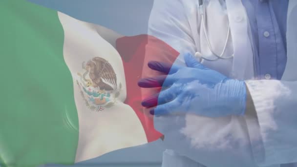 Κινούμενα Σχέδια Της Σημαίας Του Μεξικού Πάνω Από Την Αφροαμερικανή — Αρχείο Βίντεο