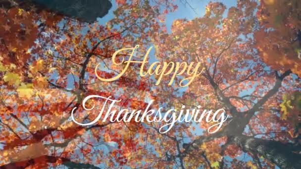 Animation Happy Thanksgiving Text Trees Thanksgiving Day Celebration Digital Interface — Stock Video