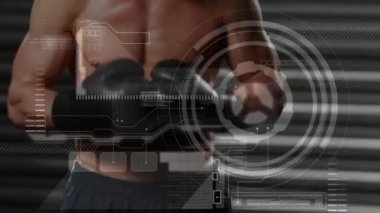 Arka planda beyaz erkek boksör boksörle kamera önünde dönen tarama, veri ve analizlerin animasyonu