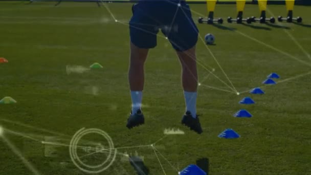 动画化的联系网络 数据处理 范围扫描和分析与男子在体育领域的背景训练 — 图库视频影像
