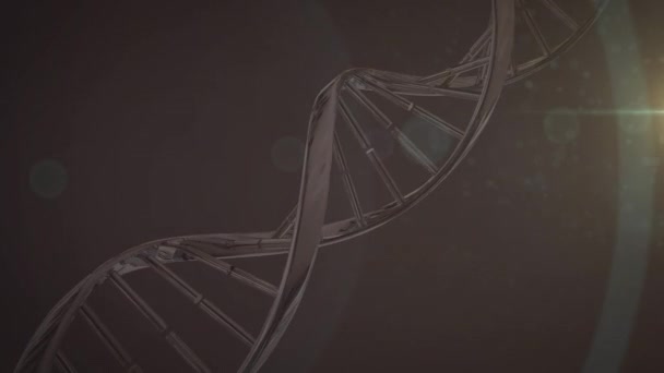 Dna 가닥의 애니메이션은 어두운 위에서 고리로 회전한다 글로벌 생물학 디지털 — 비디오