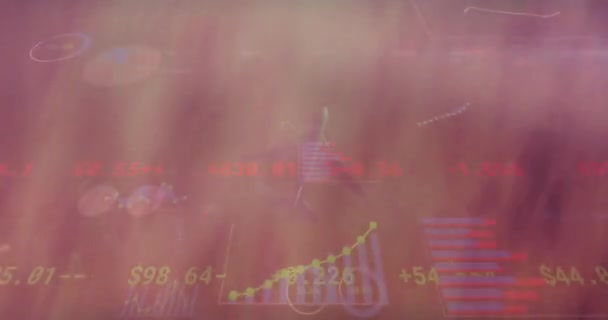 Animatie Van Grafieken Financiële Gegevensverwerking Vliegtuigen Die Vliegen Bewolkte Zonsondergang — Stockvideo