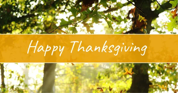 Digitaal Gegenereerd Beeld Van Happy Thanksgiving Concept — Stockfoto