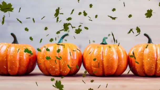 Animação Decoração Halloween Sazonal Com Abóboras Fileira Folhas Outono Fundo — Vídeo de Stock