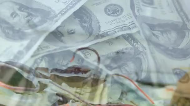 研究室で血液バッグをチェックしている白人医師の上に回転する複数の紙幣のアニメーション Covid 19コロナウイルスパンデミックの概念の間の医療スタッフ — ストック動画