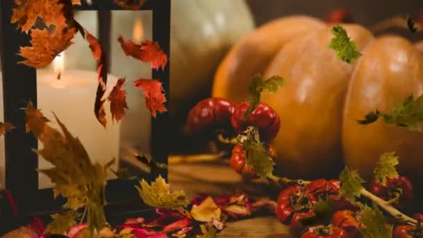 Animazione Decorazione Halloween Stagionale Con Zucche Con Candela Accesa Foglie — Video Stock