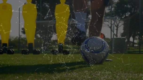 Анімація Мережі Язків Обміну Даними Низькою Секцією Тренувань Футболіста Ячем — стокове відео
