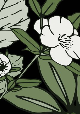 Siyah arka plana karşı dekoratif beyaz ve yeşil çiçeklerin soyut çizimi. Soyut çiçek desenli arkaplan tasarımı kavramı.