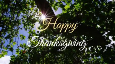 Güneş ve ağacın üzerinde mutlu şükran günlerinin animasyonu. Şükran Günü geleneği ve dijital olarak oluşturulan kutlama konsepti.