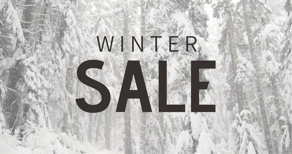 Composition of winter sale text over christmas winter scenery in background. Christmas, sales, tradition, celebration and festivity concept digitally generated image.