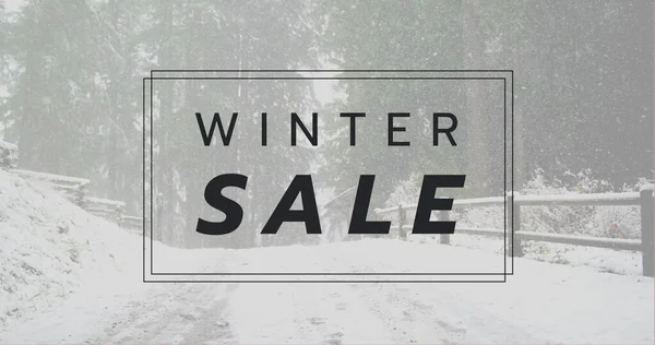 Composition of winter sale text over winter scenery in background. Christmas, sales, tradition, celebration and festivity concept digitally generated image.