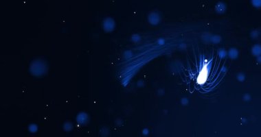 Beyaz noel karının siyah arka planda mavi ışıkların üzerine düşüşünün animasyonu. Noel, kış, şenlik, gelenek ve dijital olarak üretilen video konsepti.