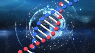 Siyah zemin üzerinde DNA ipliği olan veri işleme animasyonu. Küresel teknoloji, bilgisayar ve dijital arayüz kavramı dijital olarak oluşturulmuş video.