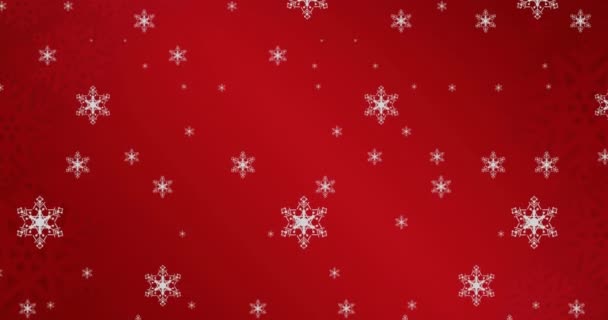 Animation White Christmas Snowflakes Falling Red Background Christmas Winter Festivity — Stock Video