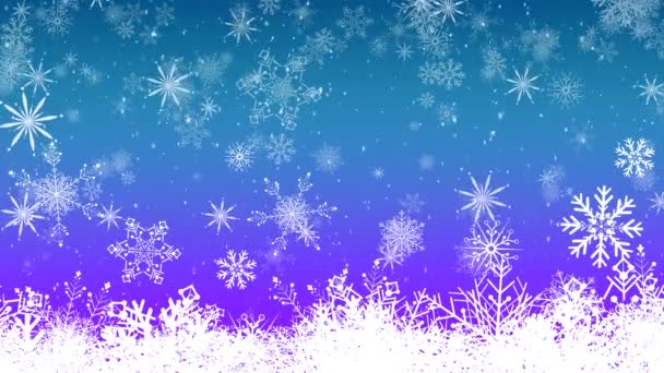 雪的动画和白色的圣诞雪花落在蓝色和紫色的背景上 圣诞节 传统和庆祝概念数字制作的录像 — 图库视频影像