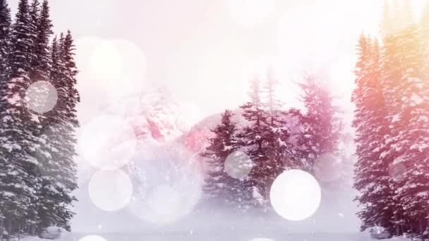 Animace Bílých Světlých Skvrn Vánoční Sníh Padající Zimní Krajina Stromy — Stock video