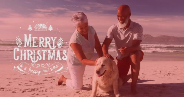 ビーチで犬と幸せな多様なシニアカップルの上に陽気なクリスマスと新年のテキストのアニメーション クリスマス お祭り 伝統とお祝いのコンセプトデジタル生成ビデオ — ストック動画