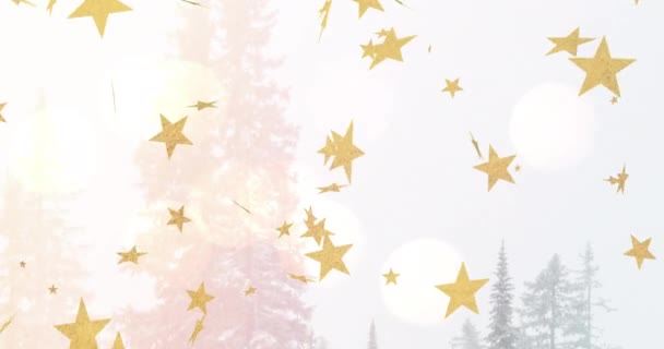 Animazione Stelle Natale Oro Che Cadono Alberi Illuminati Dal Sole — Video Stock