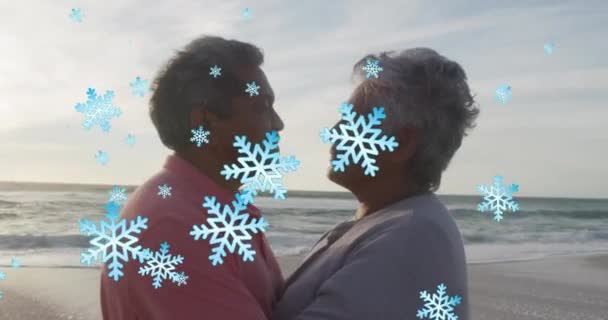 Animazione Neve Che Cade Sopra Coppia Biennale Più Anziana Spiaggia — Video Stock