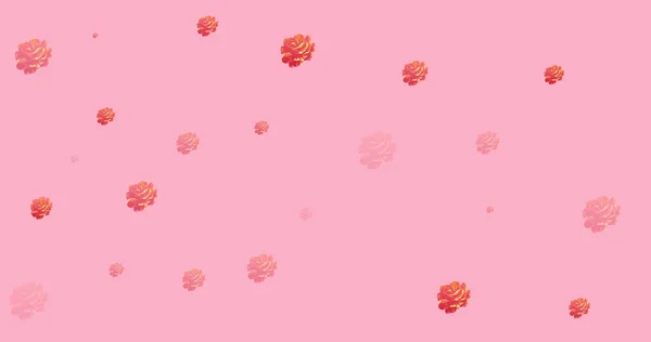 Obraz Róż Rozłożone Różowym Tle Kwiaty Botanika Natura Kruchość Koncepcja — Zdjęcie stockowe