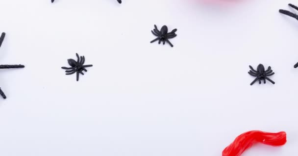 Animacja Pająków Białym Tle Halloween Jesień Uroczystości Koncepcja Tradycja Cyfrowo — Wideo stockowe