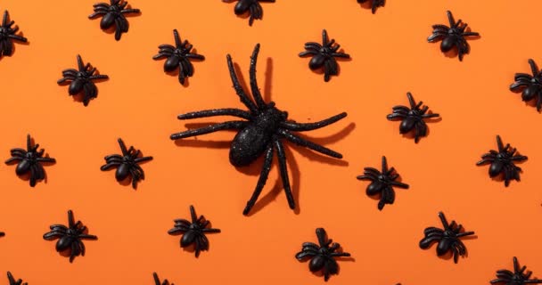 Animação Aranhas Fundo Laranja Halloween Outono Celebração Tradição Conceito Vídeo — Vídeo de Stock