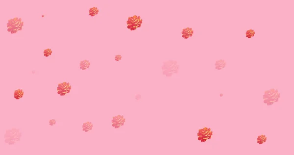 Obraz Róż Rozłożone Różowym Tle Kwiaty Botanika Natura Kruchość Koncepcja — Zdjęcie stockowe