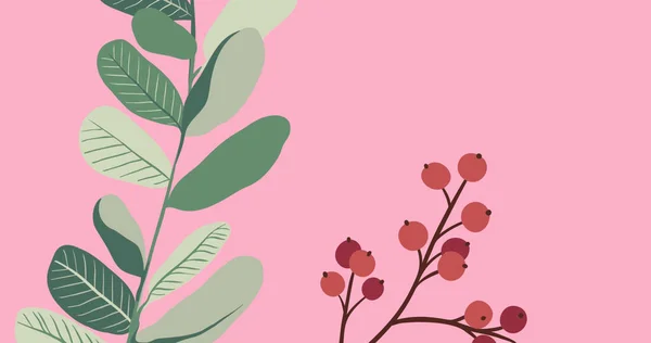 Pembe Arka Planda Yapraklar Böğürtlenler Çiçekler Botanik Doğa Kırılganlık Dekorasyon — Stok fotoğraf