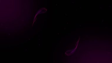 Siyah zemin üzerindeki ışık izlerinin animasyonu. ışık, desen ve hareket konsepti dijital olarak oluşturulmuş video.