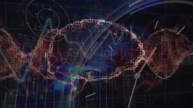 Siyah arka plandaki veri işleme üzerinde DNA ipliği olan dijital beyin animasyonu. Küresel teknoloji, bilgisayar ve dijital arayüz kavramı dijital olarak oluşturulmuş video.