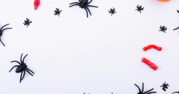 Animación Arañas Sobre Fondo Blanco Halloween Otoño Celebración Tradición Concepto — Vídeo de stock