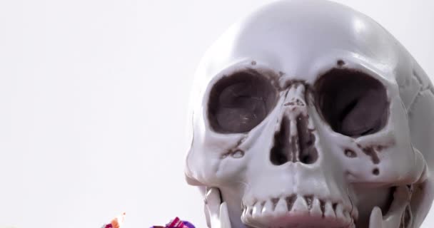 Animation Crâne Sur Fond Blanc Halloween Automne Célébration Concept Tradition — Video