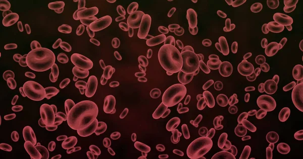 Ilustrace Zvětšení Proudících Červených Krvinek Digitálně Generovaný Plovoucí Anatomický Výzkumný — Stock fotografie