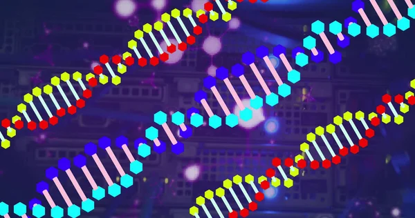 Зображення Ниток Dna Над Серверною Кімнатою Концепція Глобального Бізнесу Цифрового — стокове фото