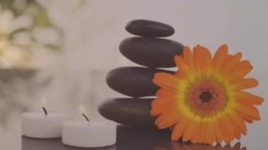 Mumların, çiçeklerin ve masaj taşlarının animasyonu. Spa, masaj, rahatlama ve kozmetik endüstrisi konsepti dijital olarak oluşturulmuş video.