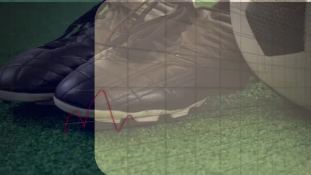 Animatie Van Statistische Gegevensverwerking Tegen Close Van Voetbal Klampen Grasveld — Stockvideo