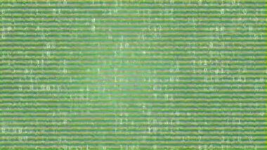 Yeşil arka plandaki veri işleme üzerindeki parazitin canlandırması. Teknoloji, bilgisayar ve dijital arayüz kavramı dijital olarak oluşturuldu.