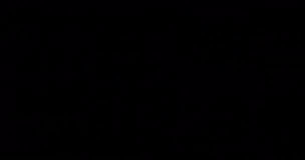 Анимация Рождественских Сказочных Огней Мерцающих Черном Фоне Рождество Праздник Праздник — стоковое видео