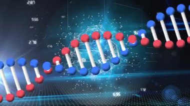 DNA iplikçiklerinin dönüşünün animasyonu, bağlantılar ağı ve veri işleme. Küresel bilim, araştırma, hesaplama ve veri işleme kavramı dijital olarak oluşturulmuş video.