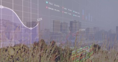 Şehir manzarası üzerinde finansal veri işleme resmi. Küresel iş, finans, veri işleme ve dijital arayüz kavramı dijital olarak oluşturuldu.