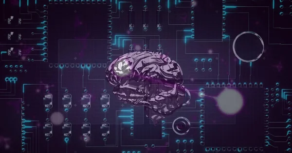 Illustration of digital human brain with circles over circuit board patterned background. Digitally generated, hologram, power supply, anatomy, artificial intelligence and technology concept.
