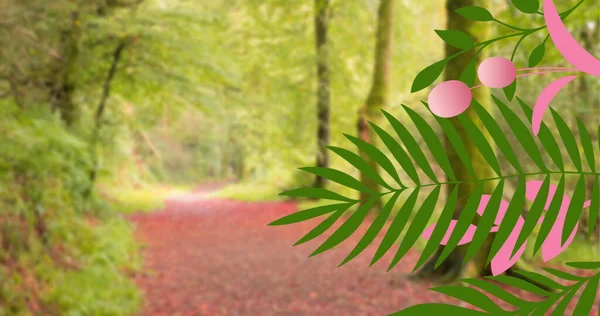 Bild Von Blättern Über Bäumen Wald Erntedank Tradition Und Festkonzept — Stockfoto