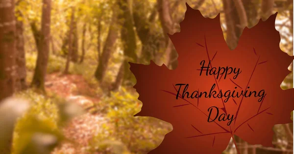 Bild Glad Tacksägelsedag Text Över Löv Och Träd Skogen Thanksgiving — Stockfoto