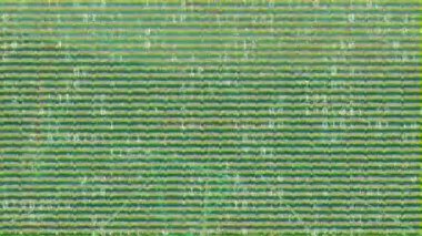 Parazit üzerine veri işleme animasyonu. küresel iş ve dijital arayüz kavramı dijital olarak oluşturulmuş video.