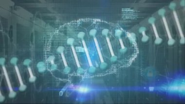 İnsan beyni animasyonu, DNA iplikçikleri ve veri işleme. Küresel bilim, araştırma, hesaplama ve veri işleme kavramı dijital olarak oluşturulmuş video.