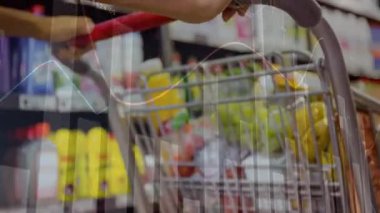 Beyaz kadın alışverişi üzerine finansal veri işleme animasyonu. Küresel iş ve veri işleme kavramı dijital olarak oluşturulmuş video.