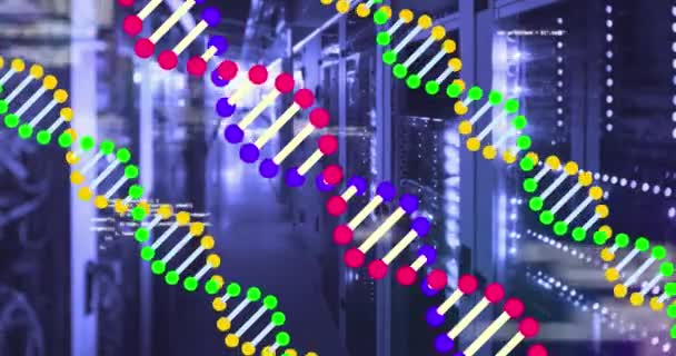 Animation Dna Strands Spinning Data Processing Computer Servers Global Science — Stock Video