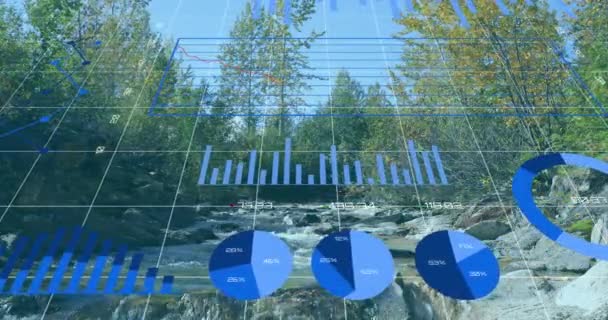 Dijital Ekrandaki Istatistiksel Veri Satırlarının Grafiklerin Grafiklerin Animasyonu — Stok video