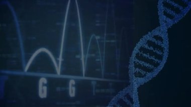 Siyah arka plandaki veri işleme üzerinde DNA ve grafiklerin animasyonu. Ağ, veri işleme, şekiller ve teknoloji konsepti dijital olarak oluşturulmuş video.